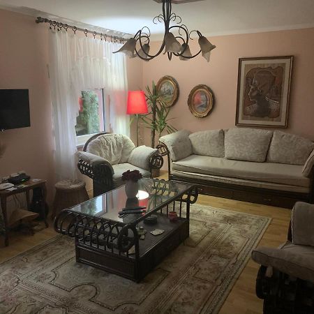 Apartmani Stojanovic Sremska Kamenica 외부 사진