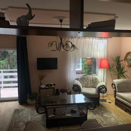 Apartmani Stojanovic Sremska Kamenica 외부 사진