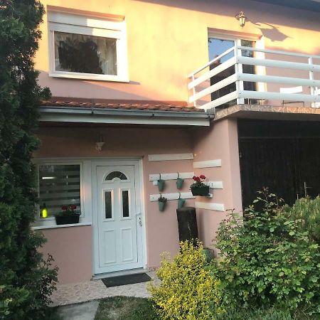 Apartmani Stojanovic Sremska Kamenica 외부 사진
