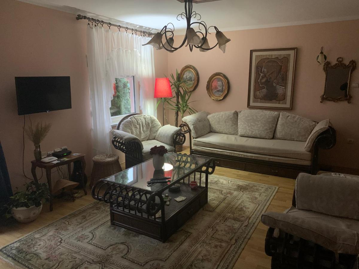 Apartmani Stojanovic Sremska Kamenica 외부 사진
