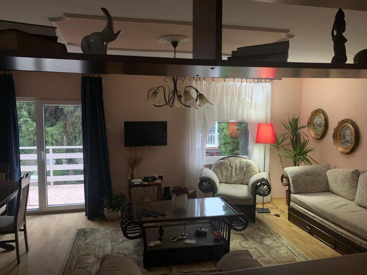 Apartmani Stojanovic Sremska Kamenica 외부 사진