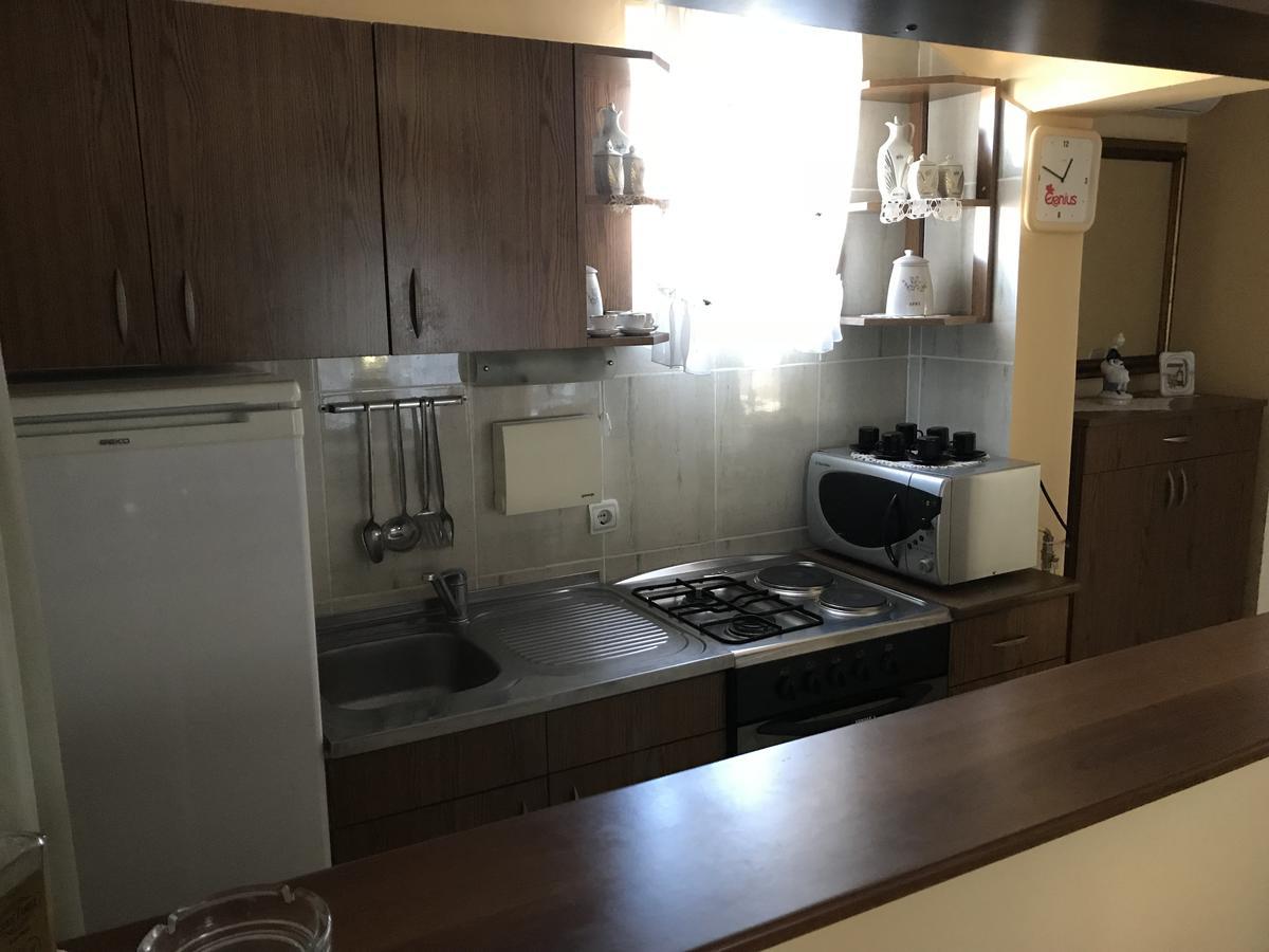 Apartmani Stojanovic Sremska Kamenica 외부 사진