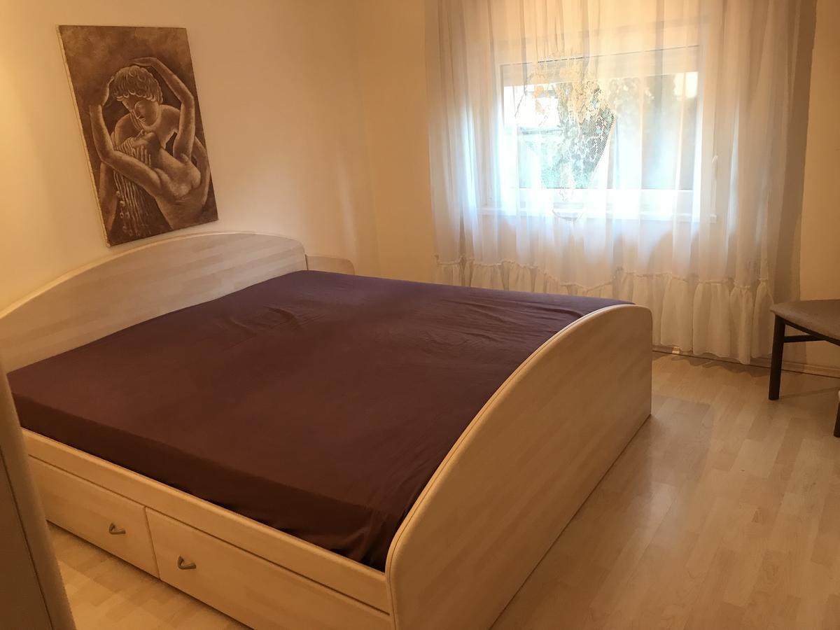 Apartmani Stojanovic Sremska Kamenica 객실 사진
