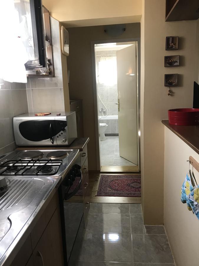 Apartmani Stojanovic Sremska Kamenica 외부 사진
