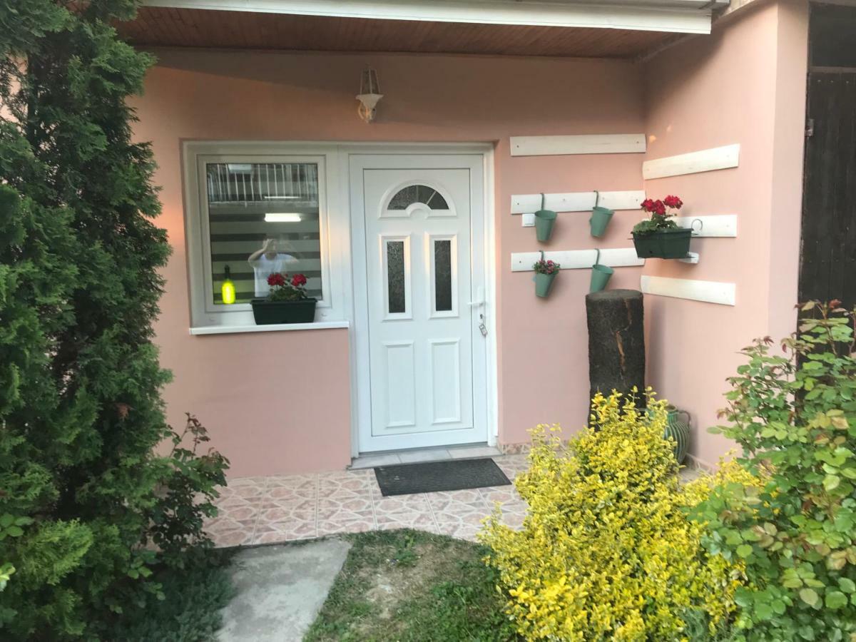 Apartmani Stojanovic Sremska Kamenica 외부 사진