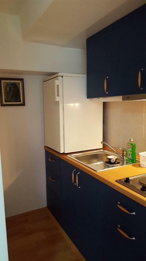Apartmani Stojanovic Sremska Kamenica 외부 사진
