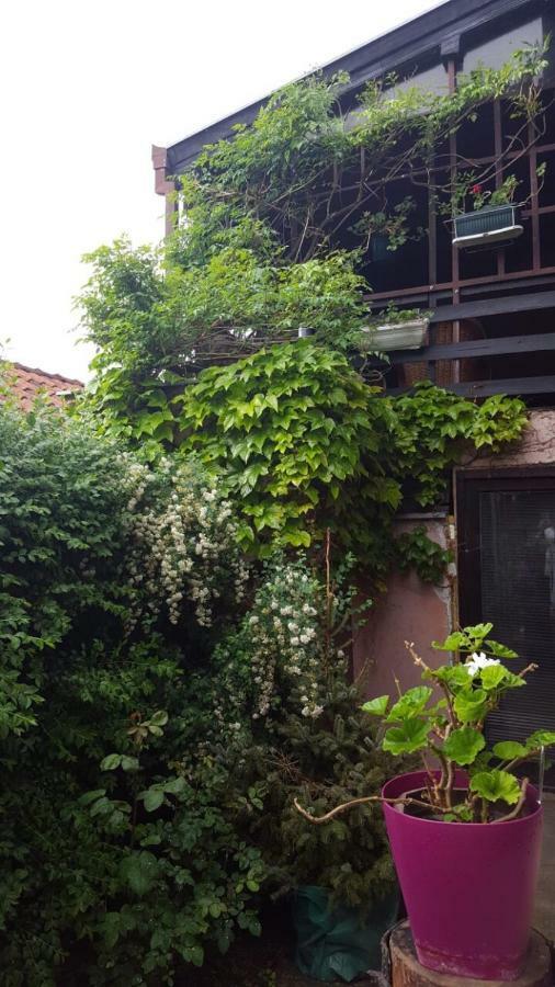 Apartmani Stojanovic Sremska Kamenica 외부 사진