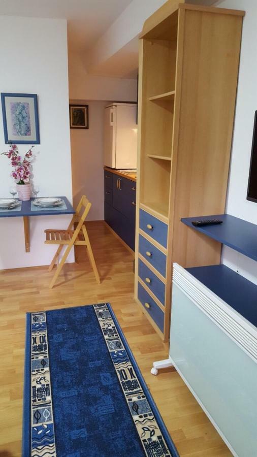 Apartmani Stojanovic Sremska Kamenica 외부 사진