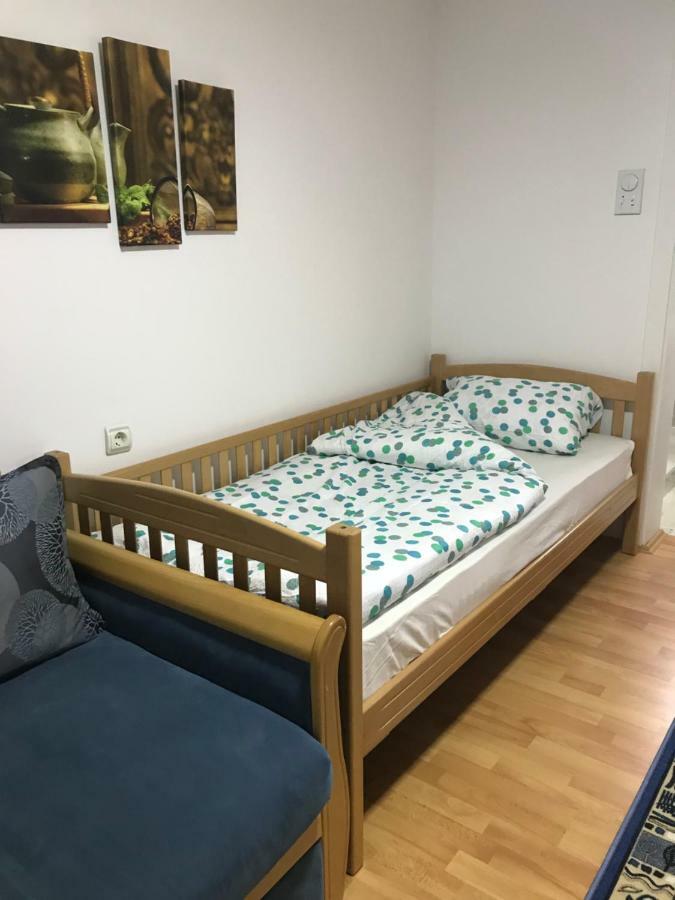 Apartmani Stojanovic Sremska Kamenica 외부 사진