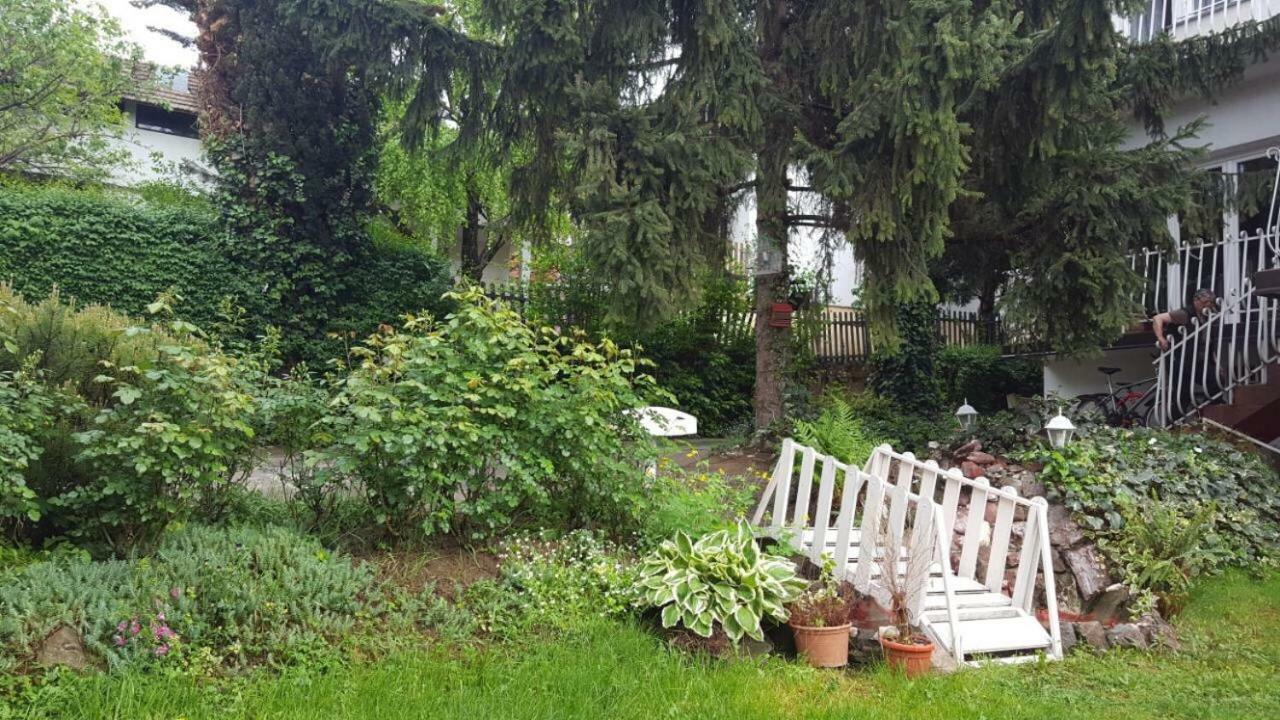 Apartmani Stojanovic Sremska Kamenica 외부 사진
